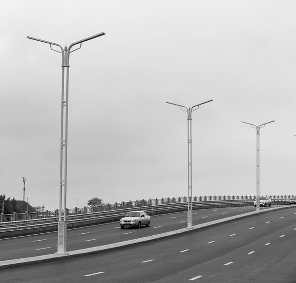 backlink services for visibility